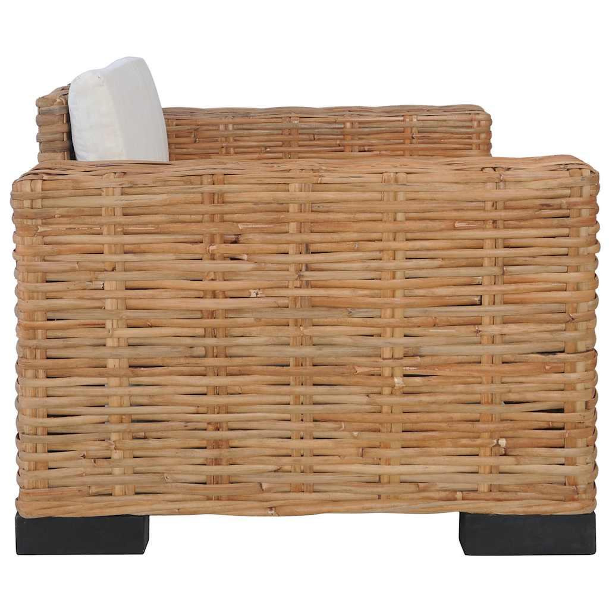 Voir la diapositive 3 : VIDAXL Fauteuil avec coussins Rotin naturel