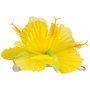Voir la diapositive 2 : Boland Barrette Hibiscus Jaune - Accessoire