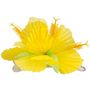 Voir la diapositive 2 : Boland Barrette Hibiscus Jaune - Accessoire