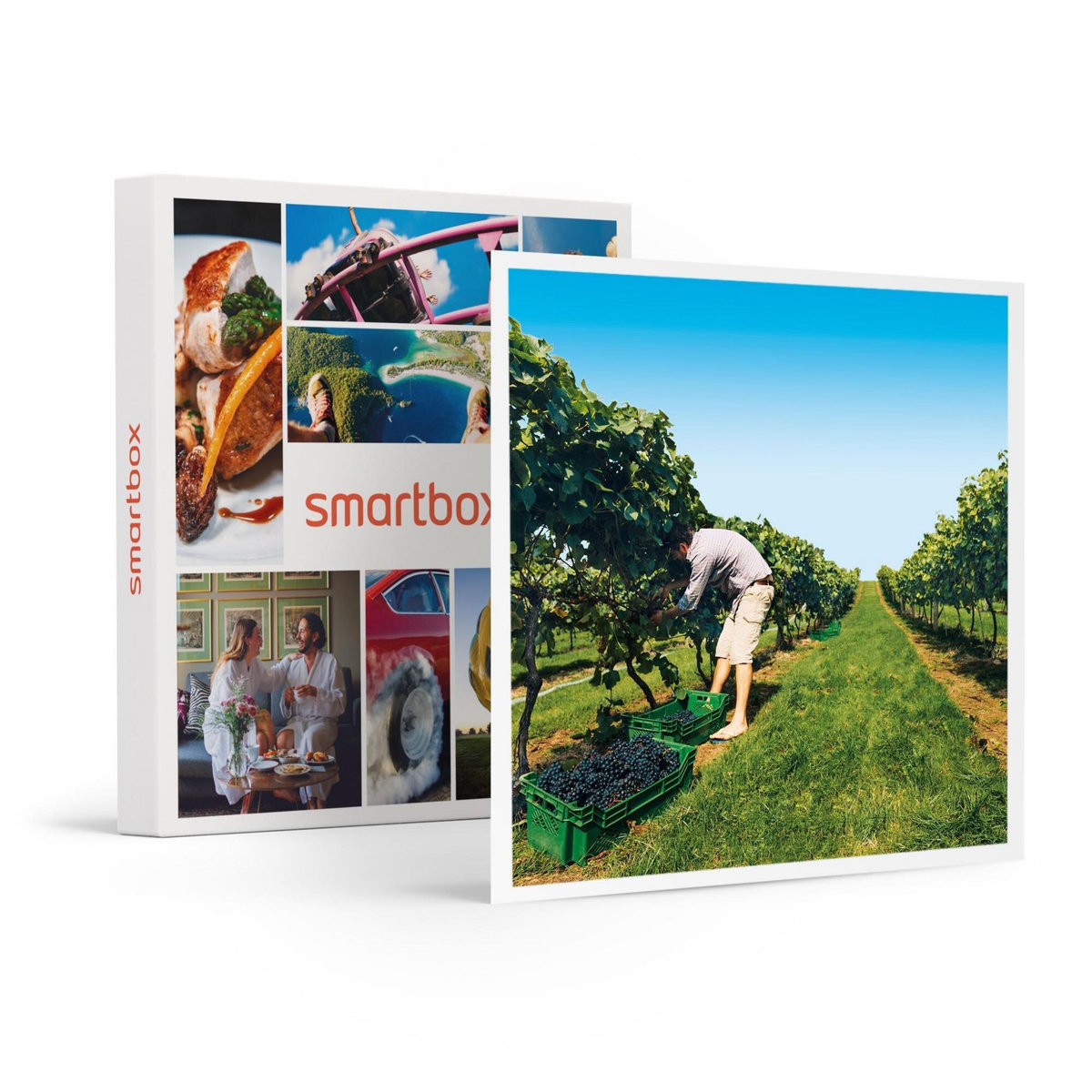 Smartbox À la découverte de nos vignobles - Coffret Cadeau Gastronomie