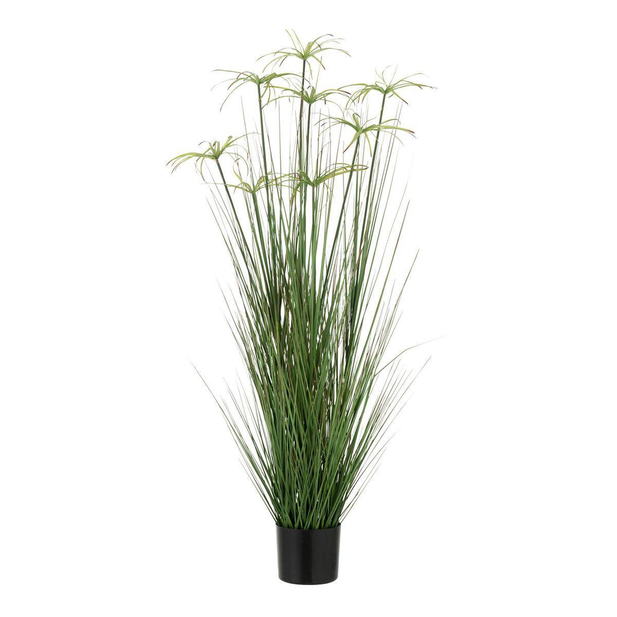 J-LINE Plante artificielle  cyperus alternifolius 8 têtes  132cm vert