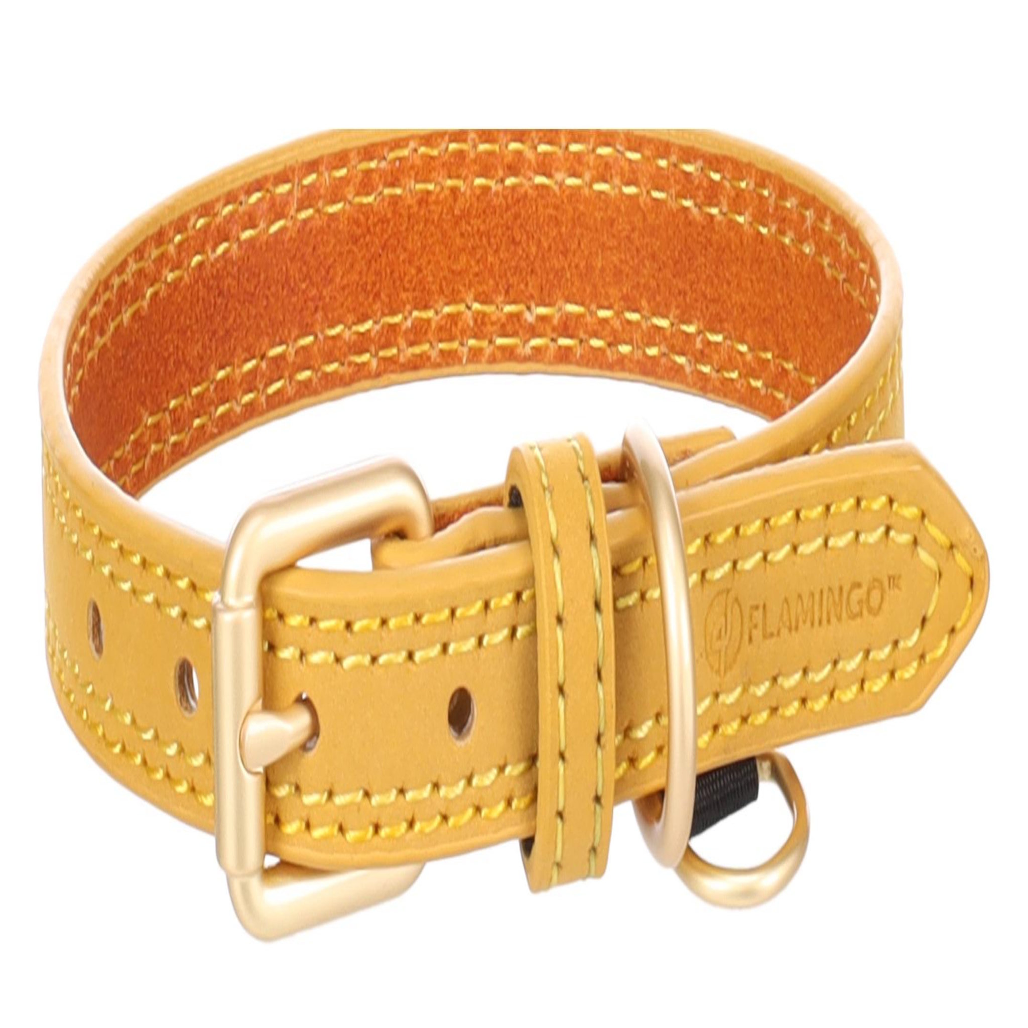 Voir la diapositive 3 : Eden Collier pour chien virginia en cuir