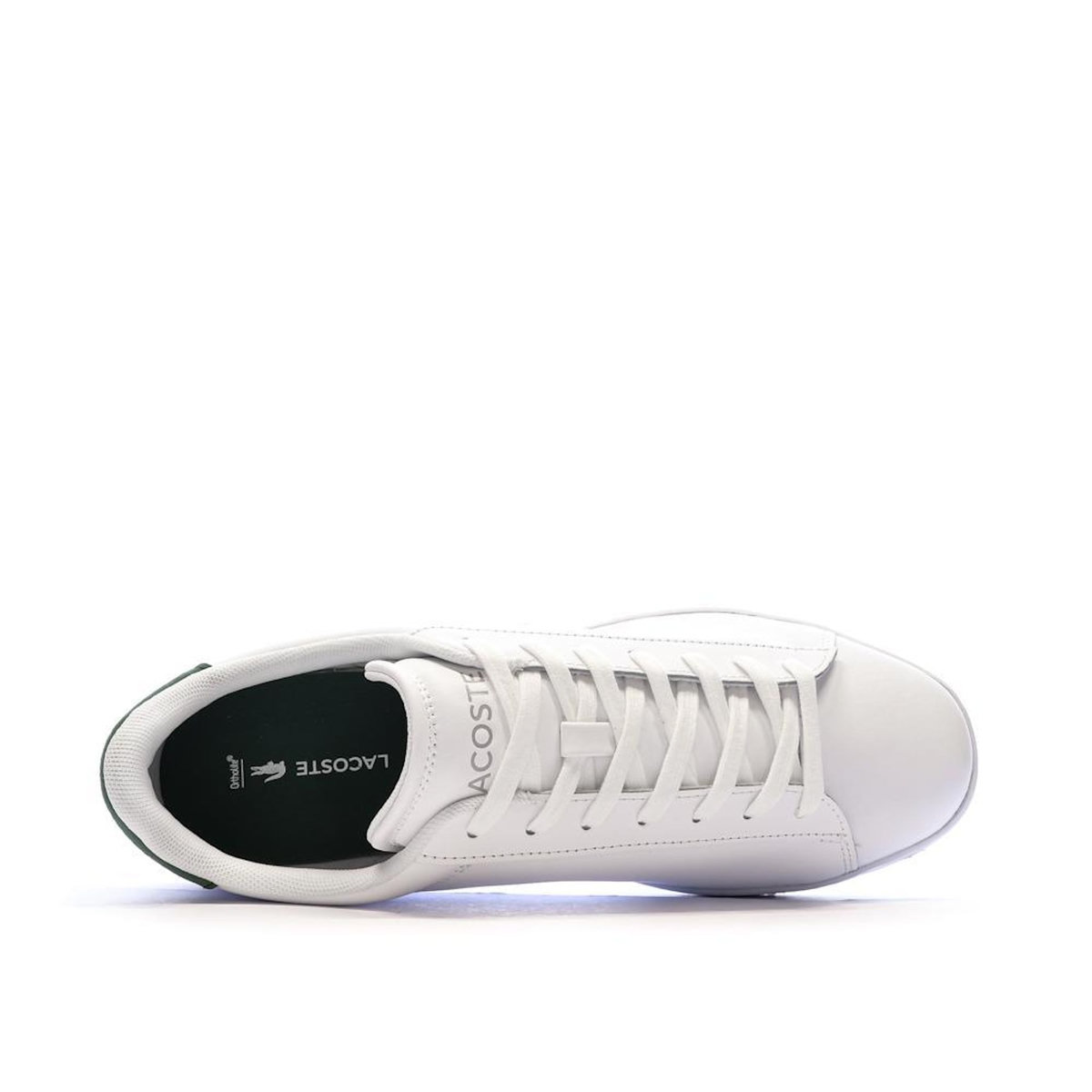 Lacoste Baskets  /e Homme Lacoste Carnaby Set 224 1 Sma