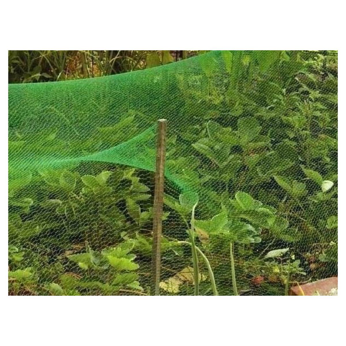 GARDENSTAR Filet anti-oiseaux - 5x10m - PE