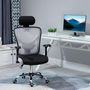 Voir la diapositive 2 : VINSETTO Vinsetto Chaise de bureau manager grand confort réglable dossier inclinable piètement chromé tissu maille polyester gris noir