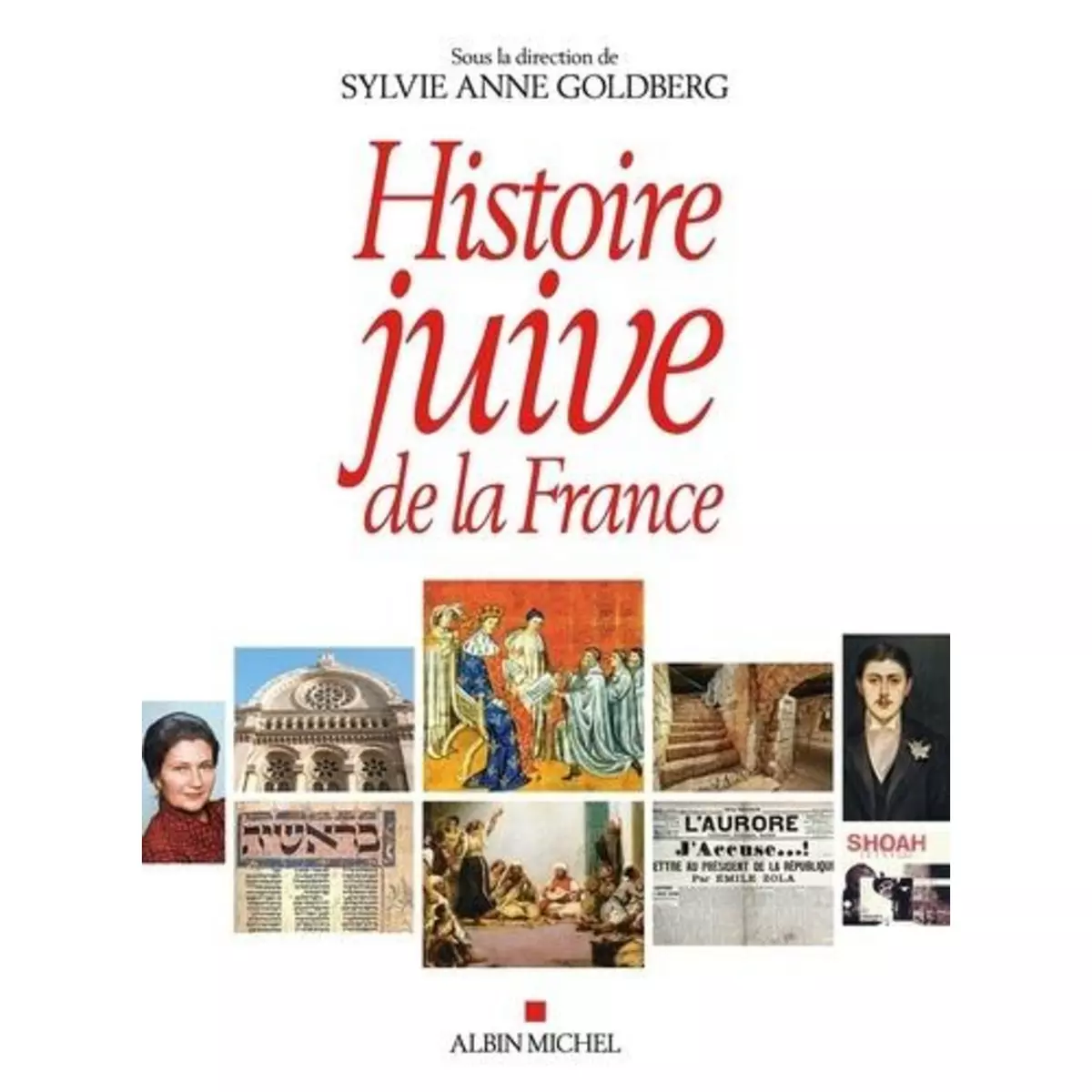  HISTOIRE JUIVE DE LA FRANCE, Goldberg Sylvie Anne