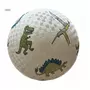 Petit Jour Grand Ballon Les dinosaures