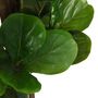 Voir la diapositive 3 : VIDAXL Ficus lyrata artificiel 180 feuilles 150 cm vert