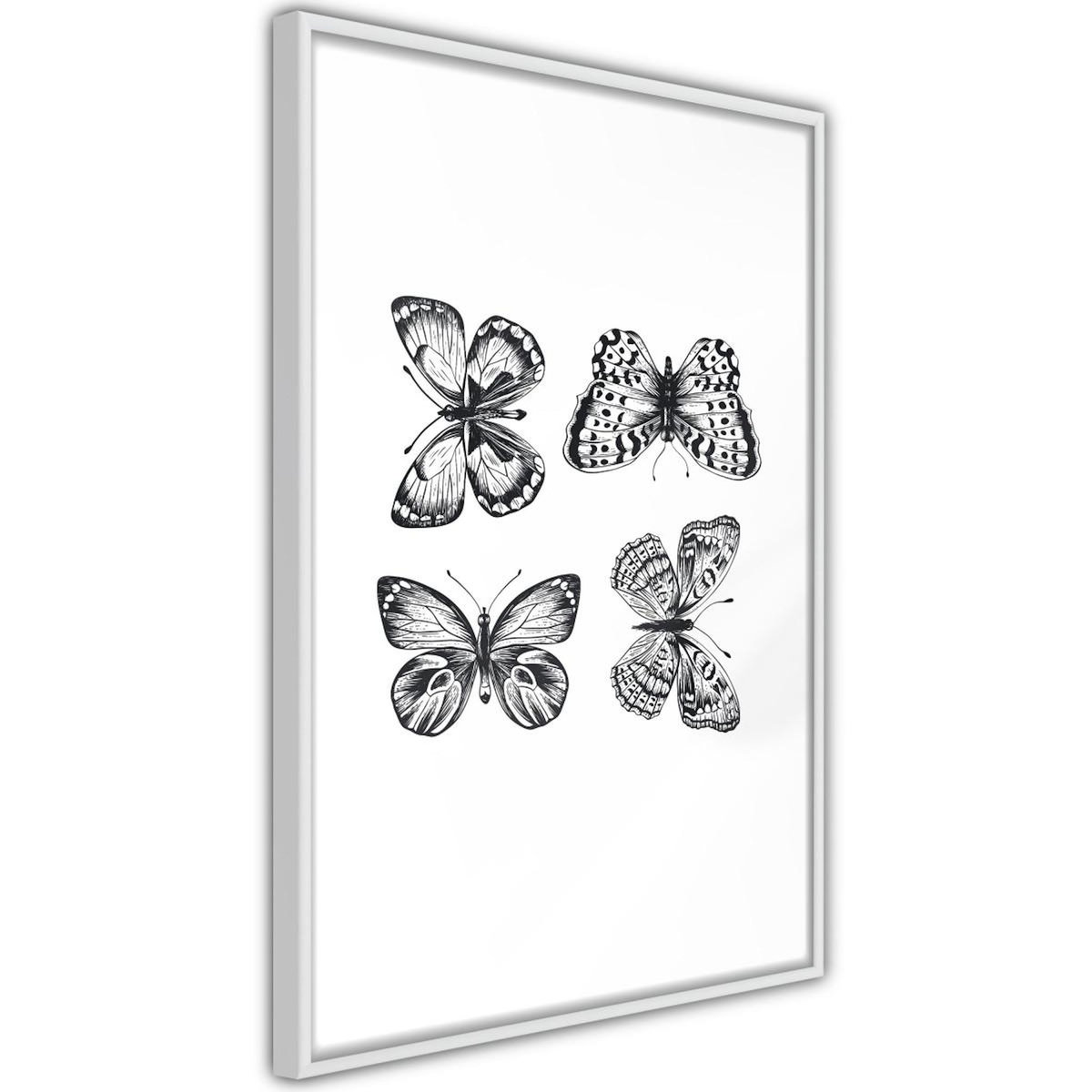 Paris Prix Affiche Murale Encadrée  Butterfly Collection IV