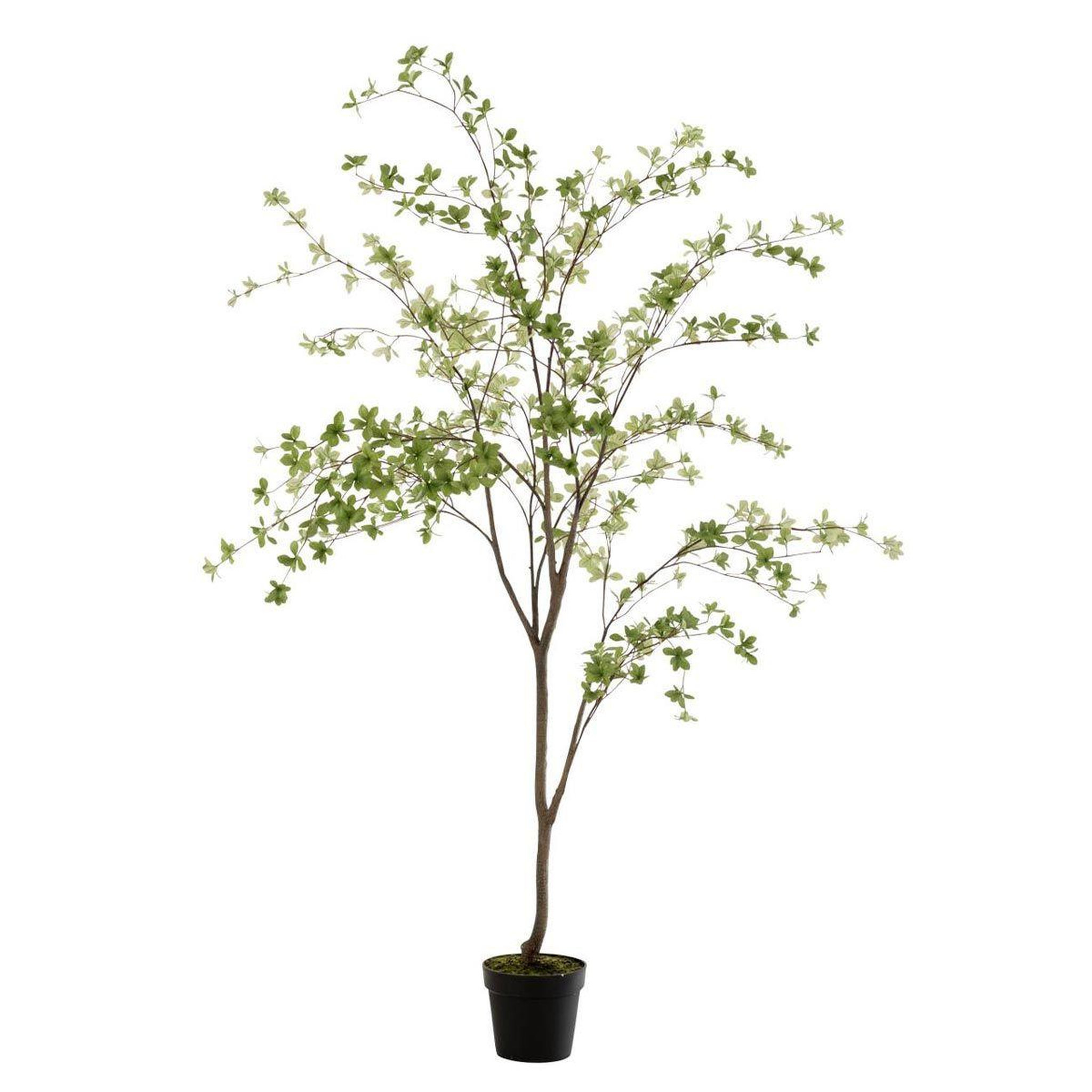 J-LINE Plante artificielle  fines feuilles  190cm vert & noir
