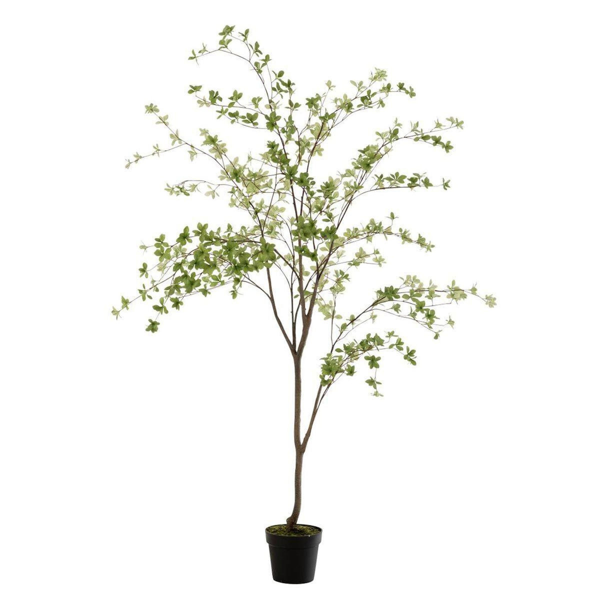 Paris Prix Plante Artificielle  Fines Feuilles  190cm Vert & Noir