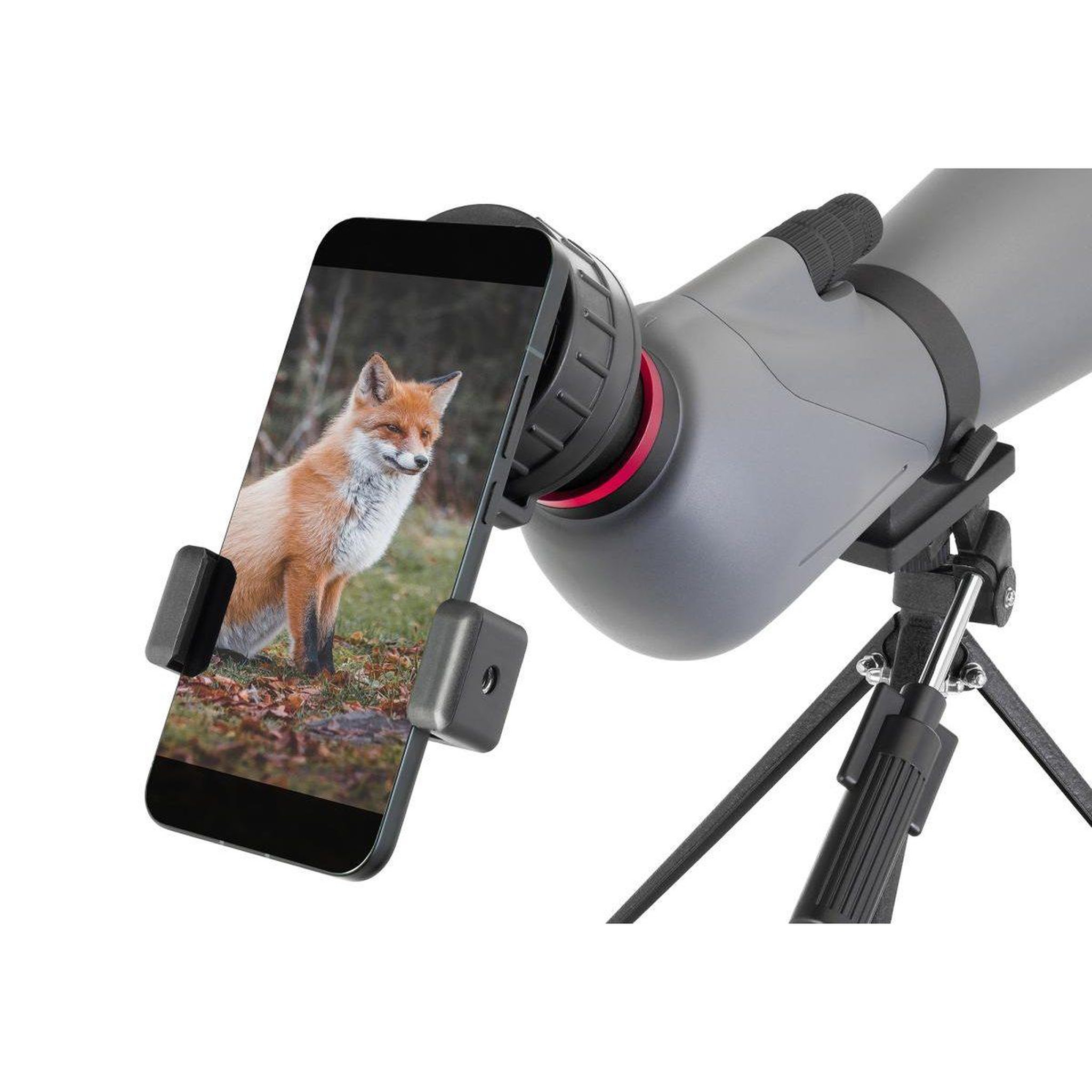 Voir la diapositive 4 : LEVENHUK Longue-vue  new blaze plus 80