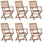 Voir la diapositive 3 : VIDAXL Chaises pliables de jardin lot de 6 avec coussins Bois d'acacia