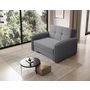 Voir la diapositive 6 : BEST MOBILIER Michelle - fauteuil convertible avec coffre en velours
