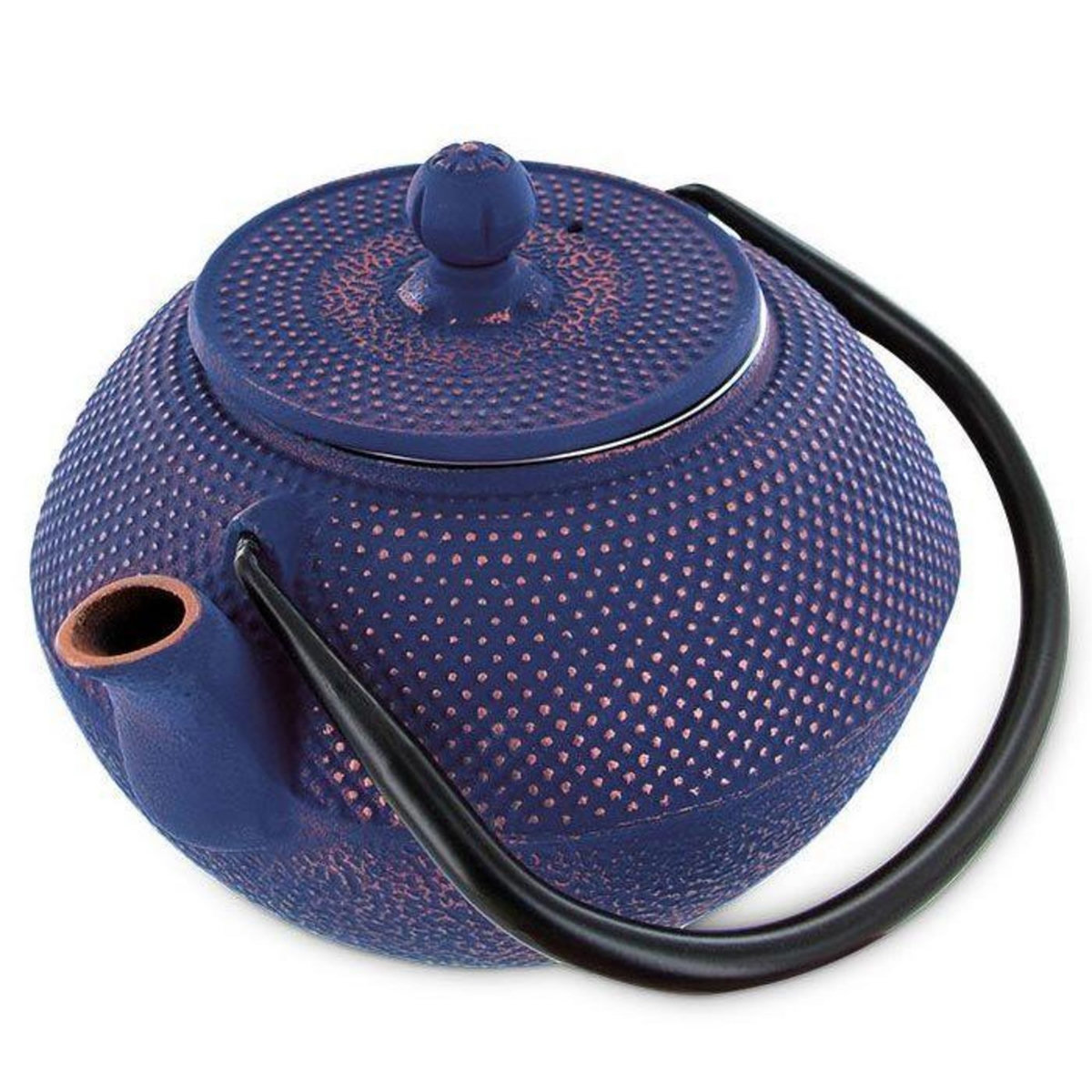 Aromandise Théière en fonte chinoise Song - 1,2 L