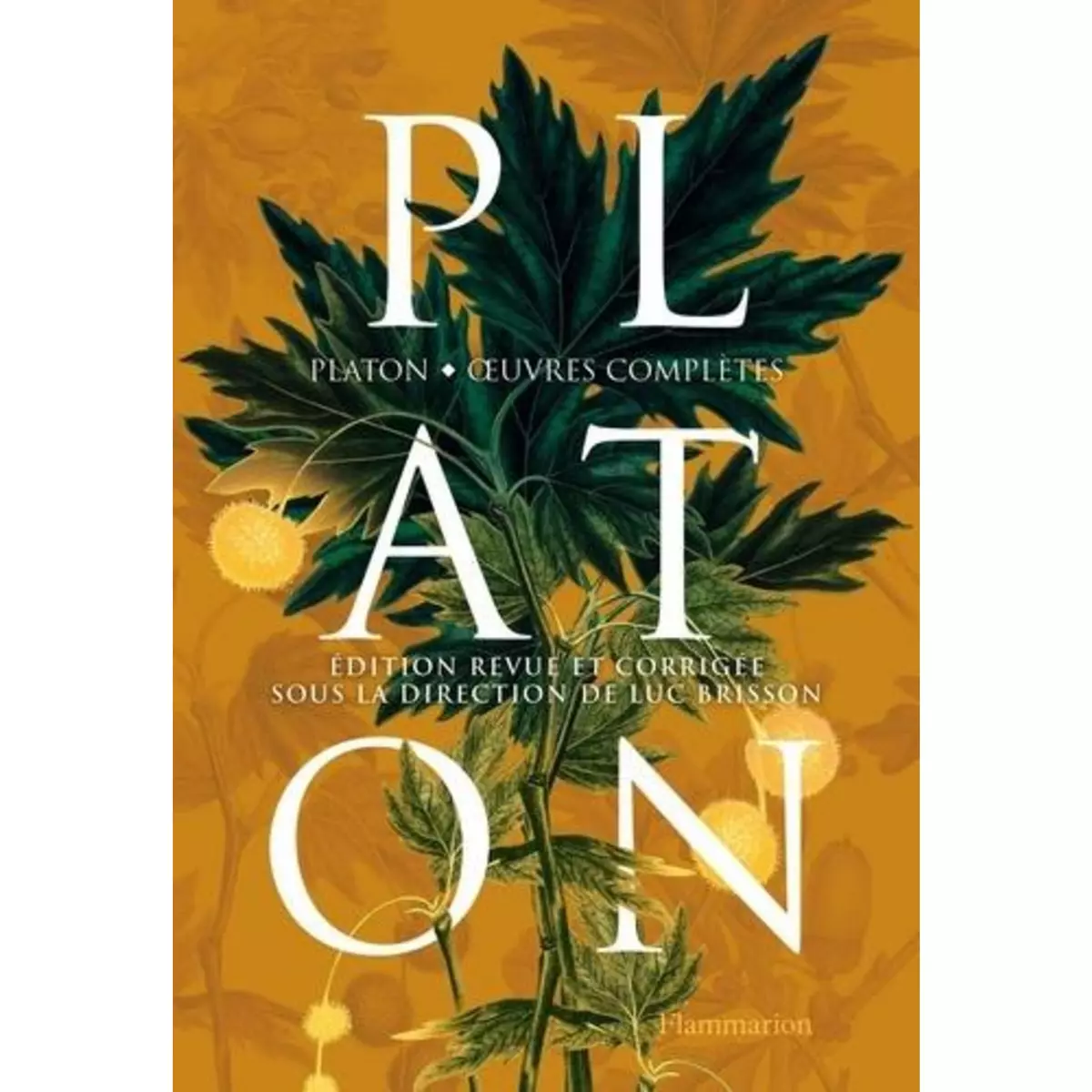  PLATON. OEUVRES COMPLETES, EDITION REVUE ET CORRIGEE, Platon