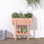 Voir la diapositive 1 : VIDAXL Jardiniere 62x30x69 cm bois massif douglas