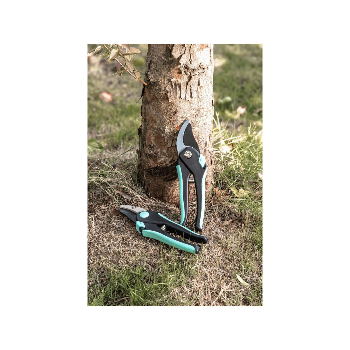 SUAN Lot de 2 sécateurs - Suan - Lame franche et lame enclume - En acier