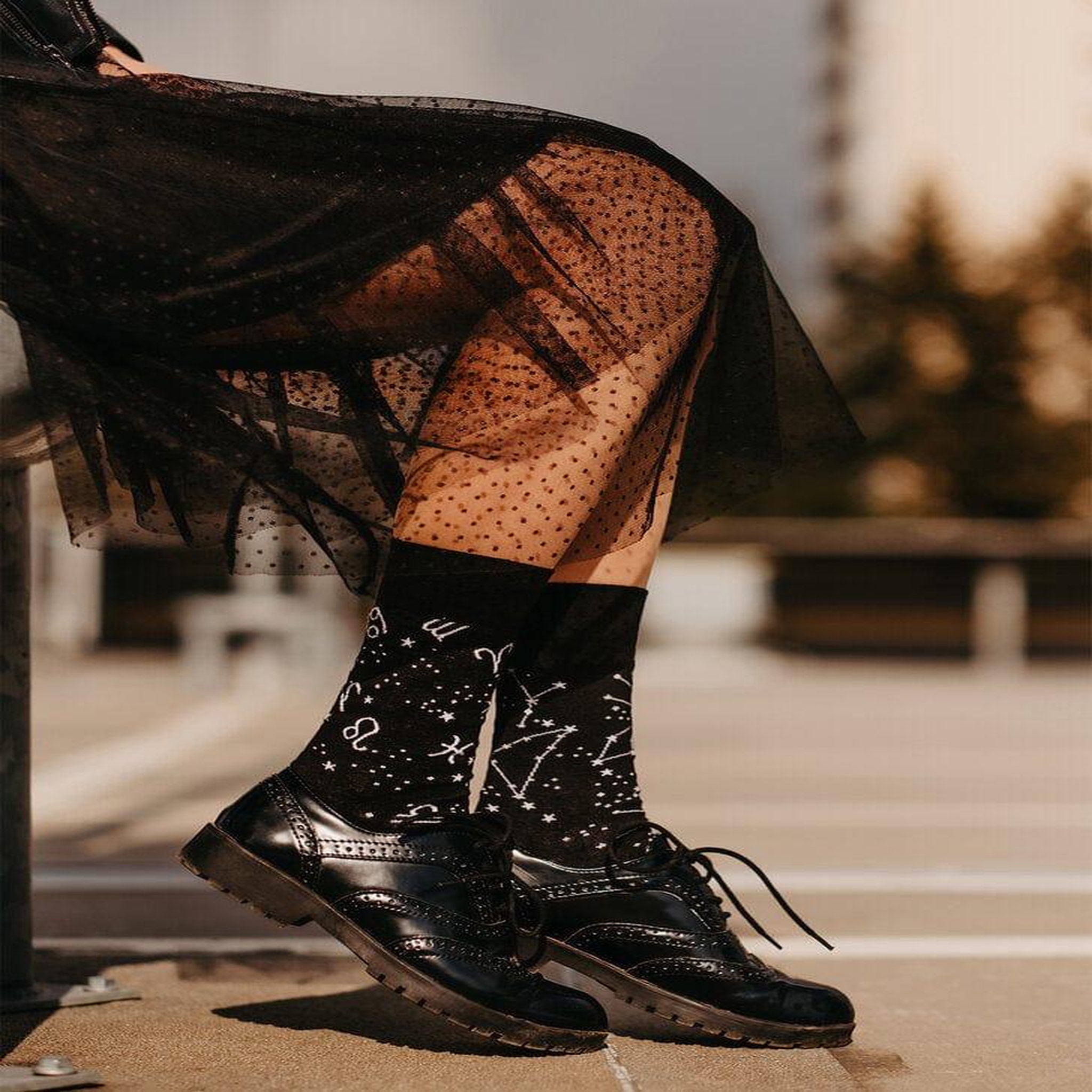 Voir la diapositive 5 : DEDOLES Chaussettes signes du zodiaque