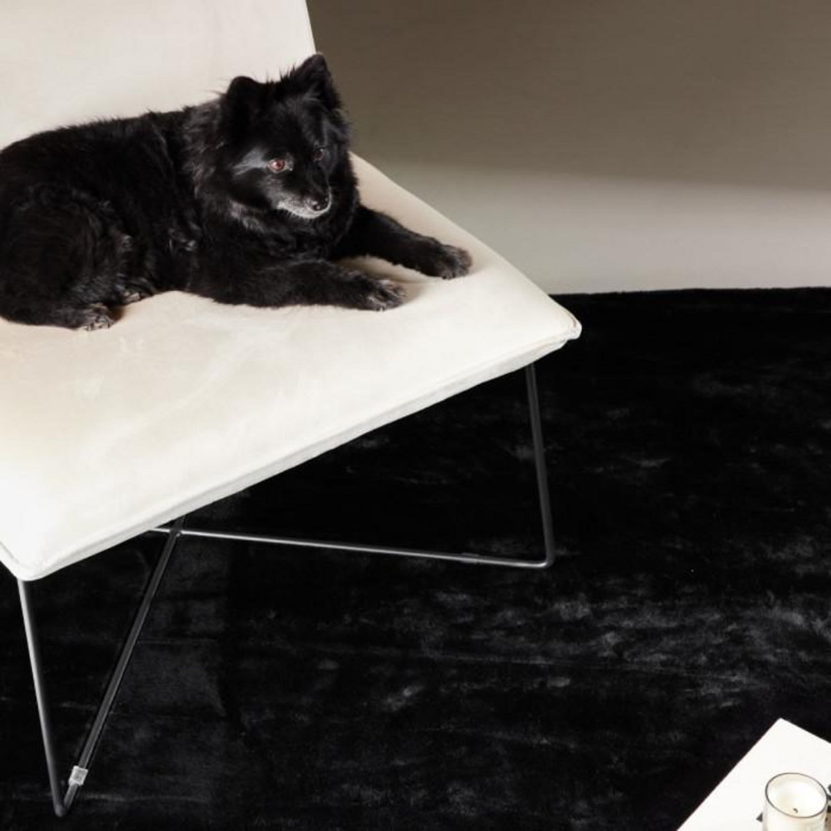 Paris Prix Tapis Design  Nina  160x230cm Noir