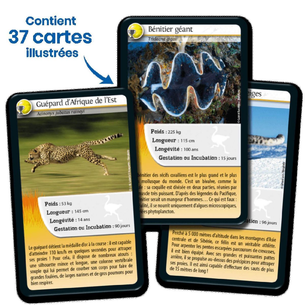 Bioviva Défis nature - records des animaux