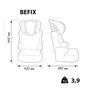 Voir la diapositive 4 : NANIA Rehausseur groupe 2/3 Befix Zebra