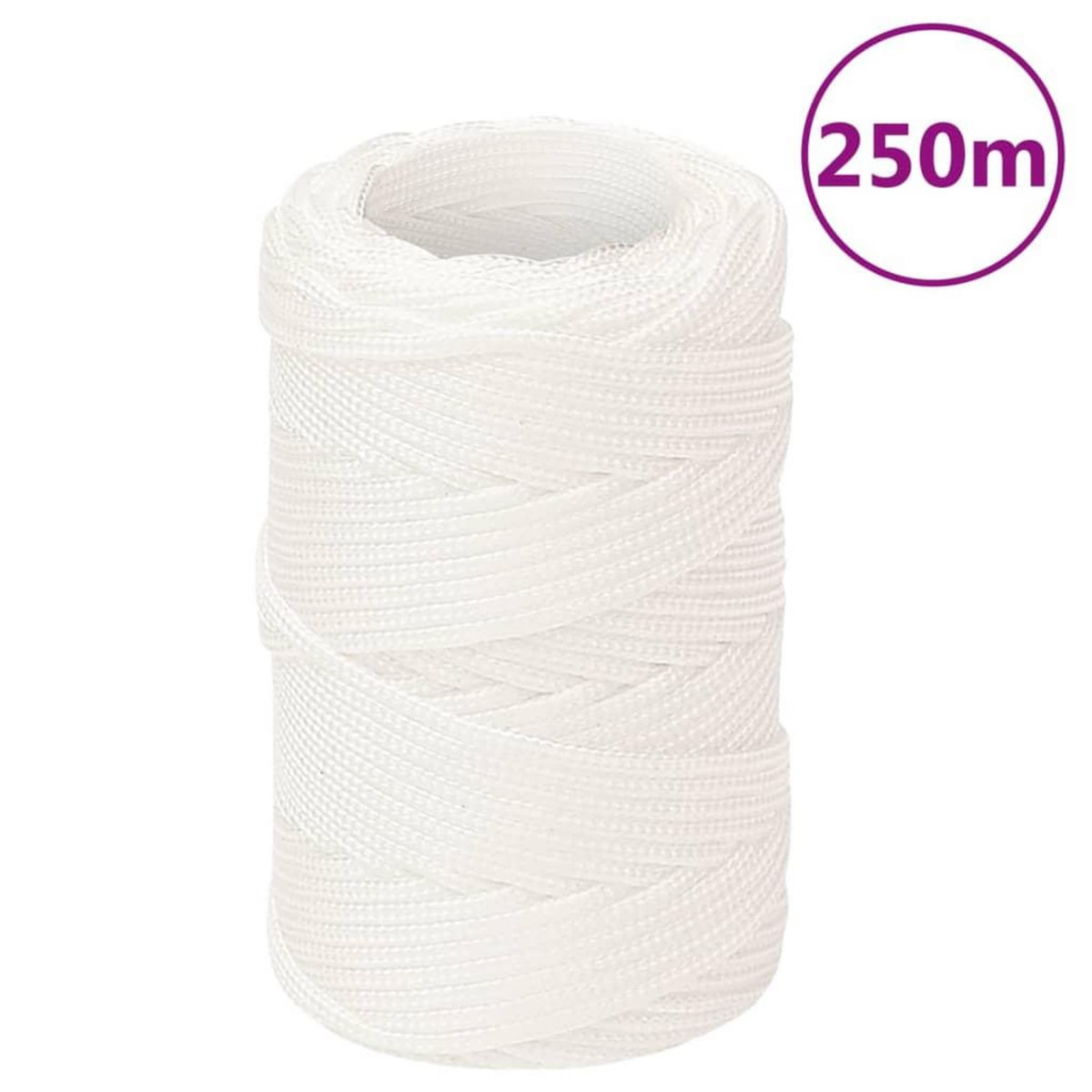 VIDAXL Corde de bateau Blanc complet 2 mm 250 m Polypropylene