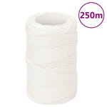 VIDAXL Corde de bateau Blanc complet 2 mm 250 m Polypropylene