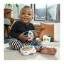 Voir la diapositive 5 : BABY EINSTEIN BABY EINSTEIN Set de 3 jouets musicaux Small Symphony, 3 instruments, bouliers inclus, contrôle du volume