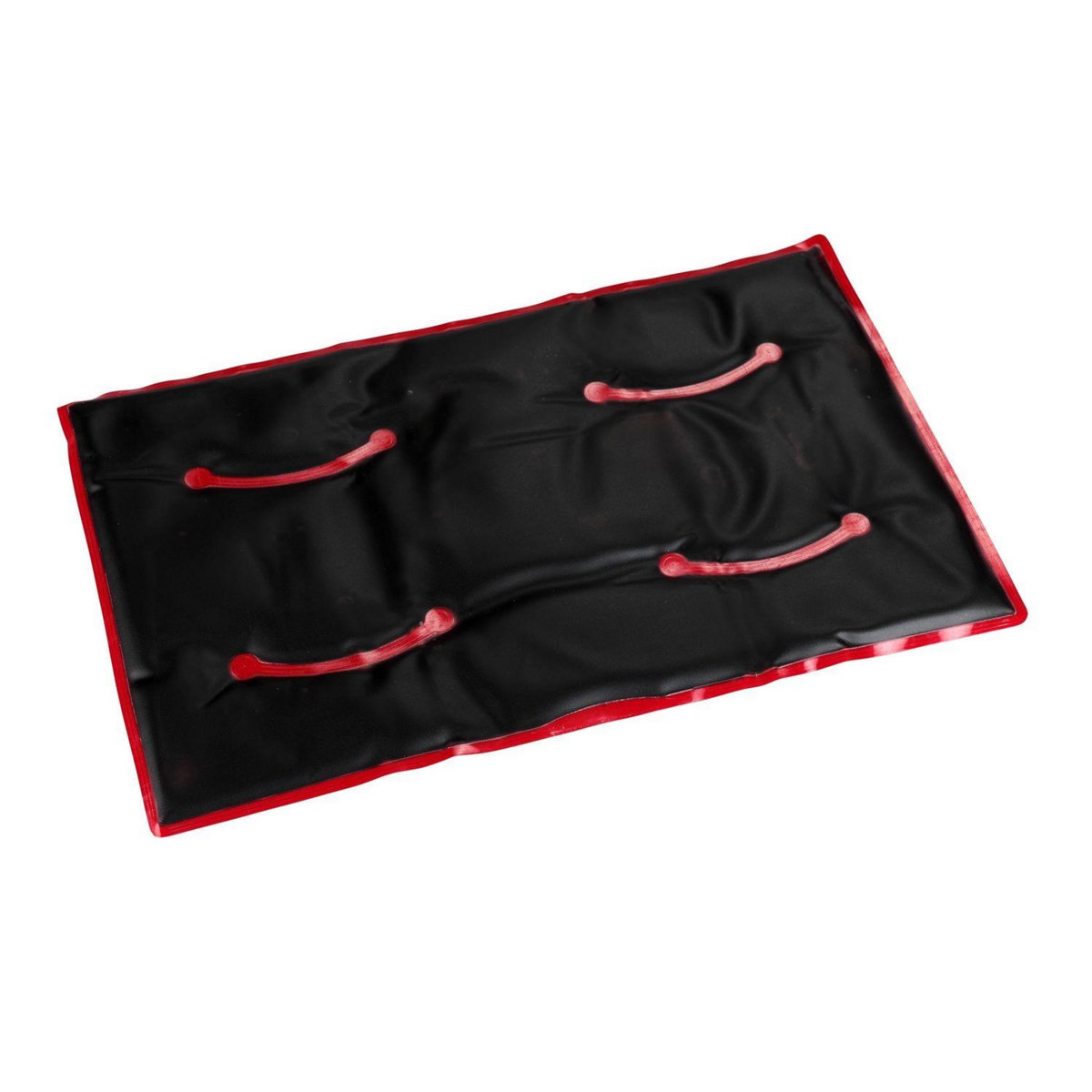 Wenko Coussin - Bouillote au gel de tourbe Exquis