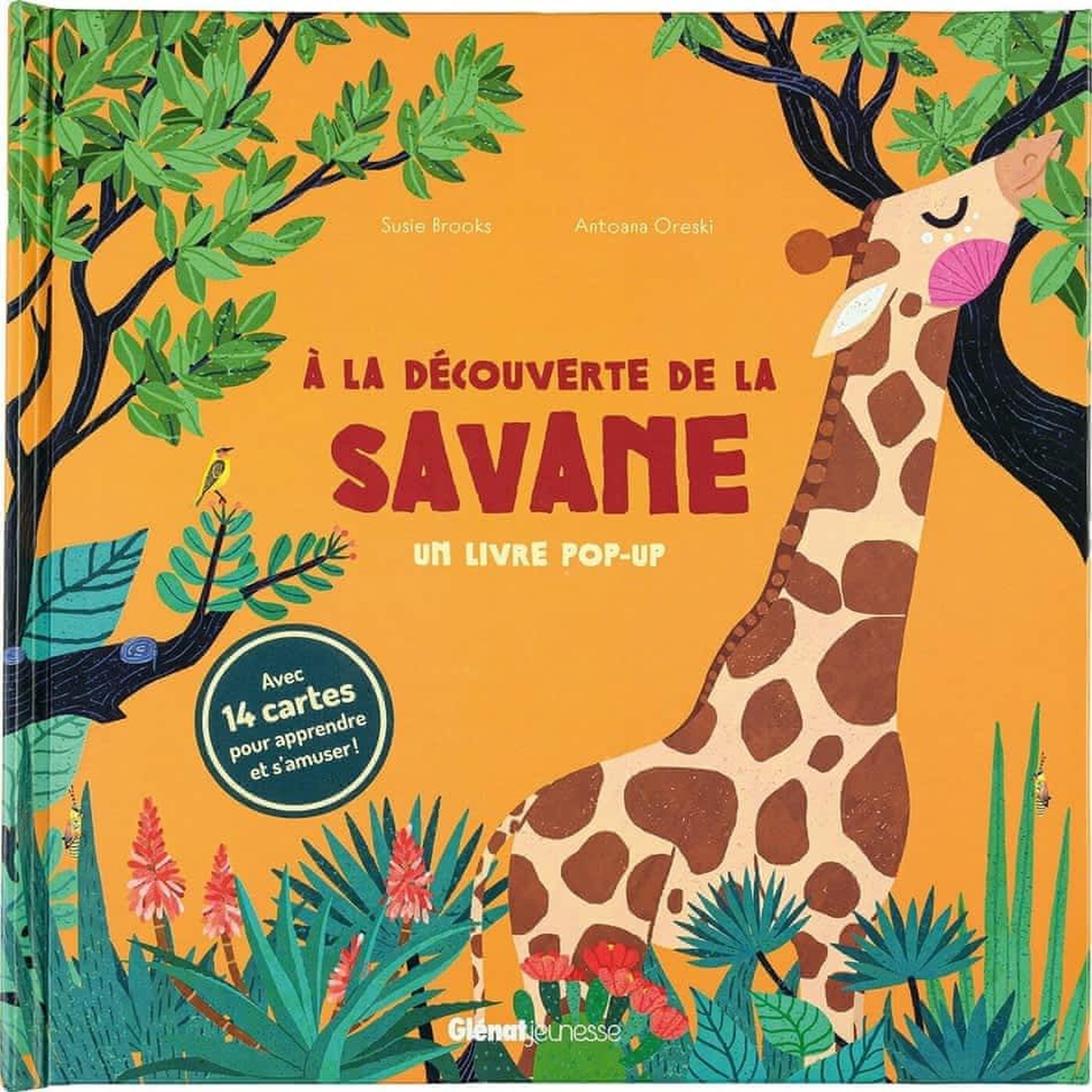 A LA DECOUVERTE DE LA SAVANE. UN LIVRE POP-UP. AVEC 14 CARTES POUR APPRENDRE ET S'AMUSER !, Brooks Susie