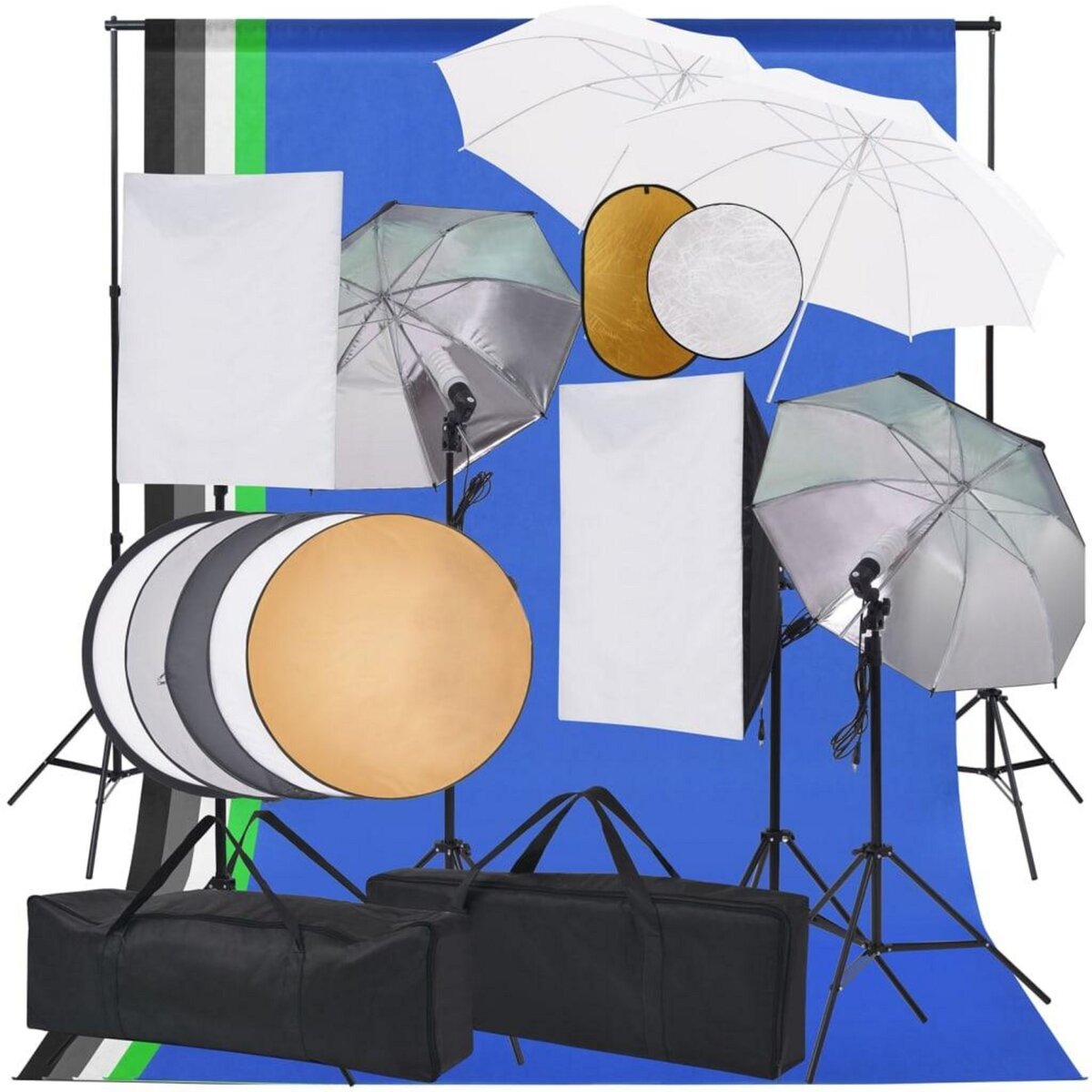 VIDAXL Kit de studio photo boîte a lumiere toile de fond et reflecteur