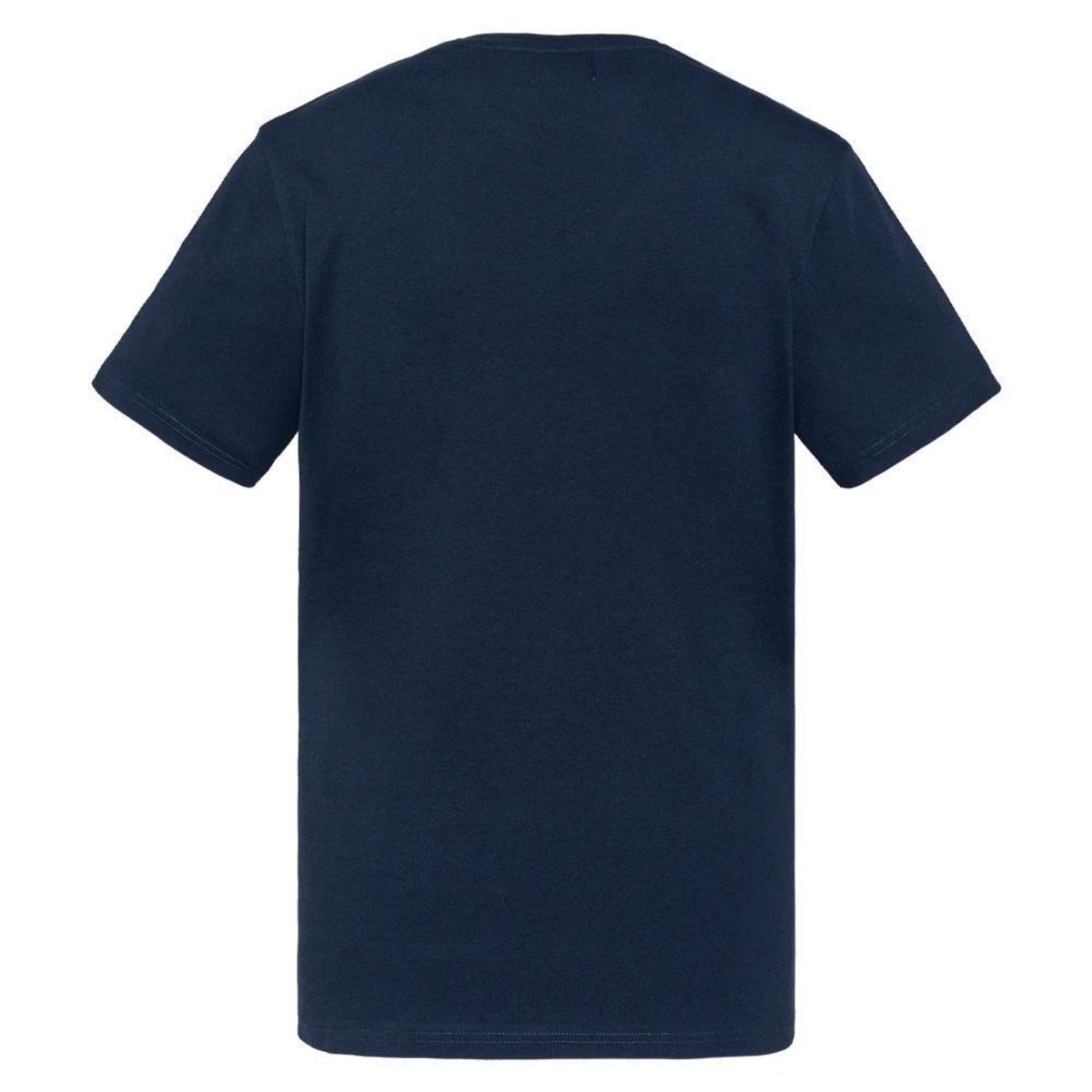 Schott T shirt  Homme Schott TSUSTOUR