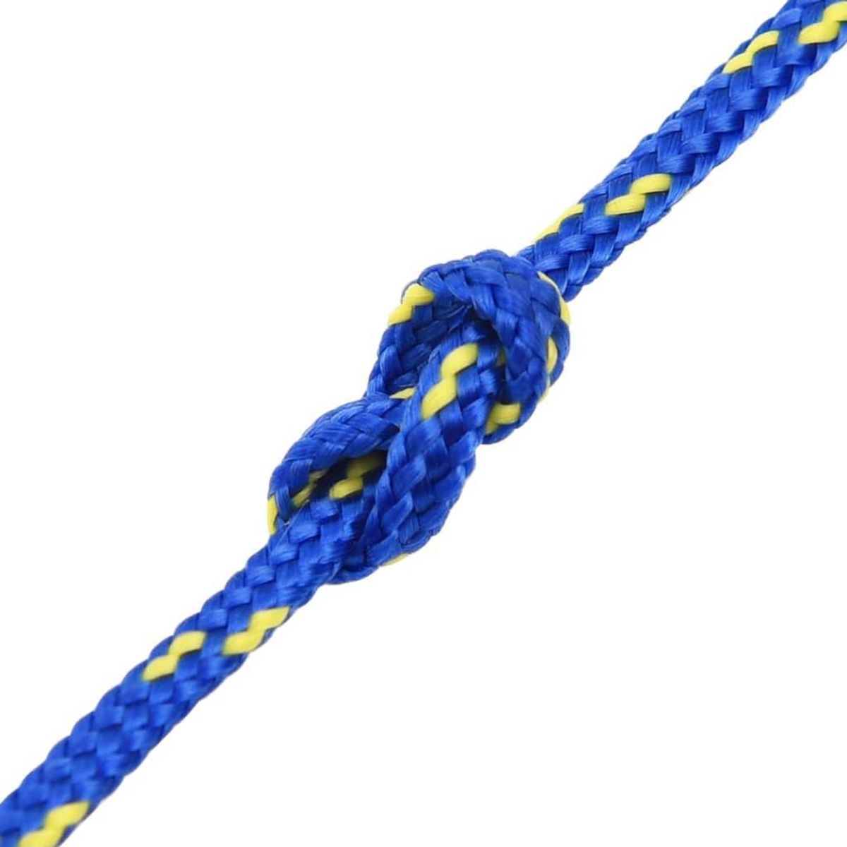 VIDAXL Corde de bateau Bleu 2 mm 100 m Polypropylene