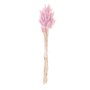 RICO DESIGN Lagurus séchés lilas - 45 cm