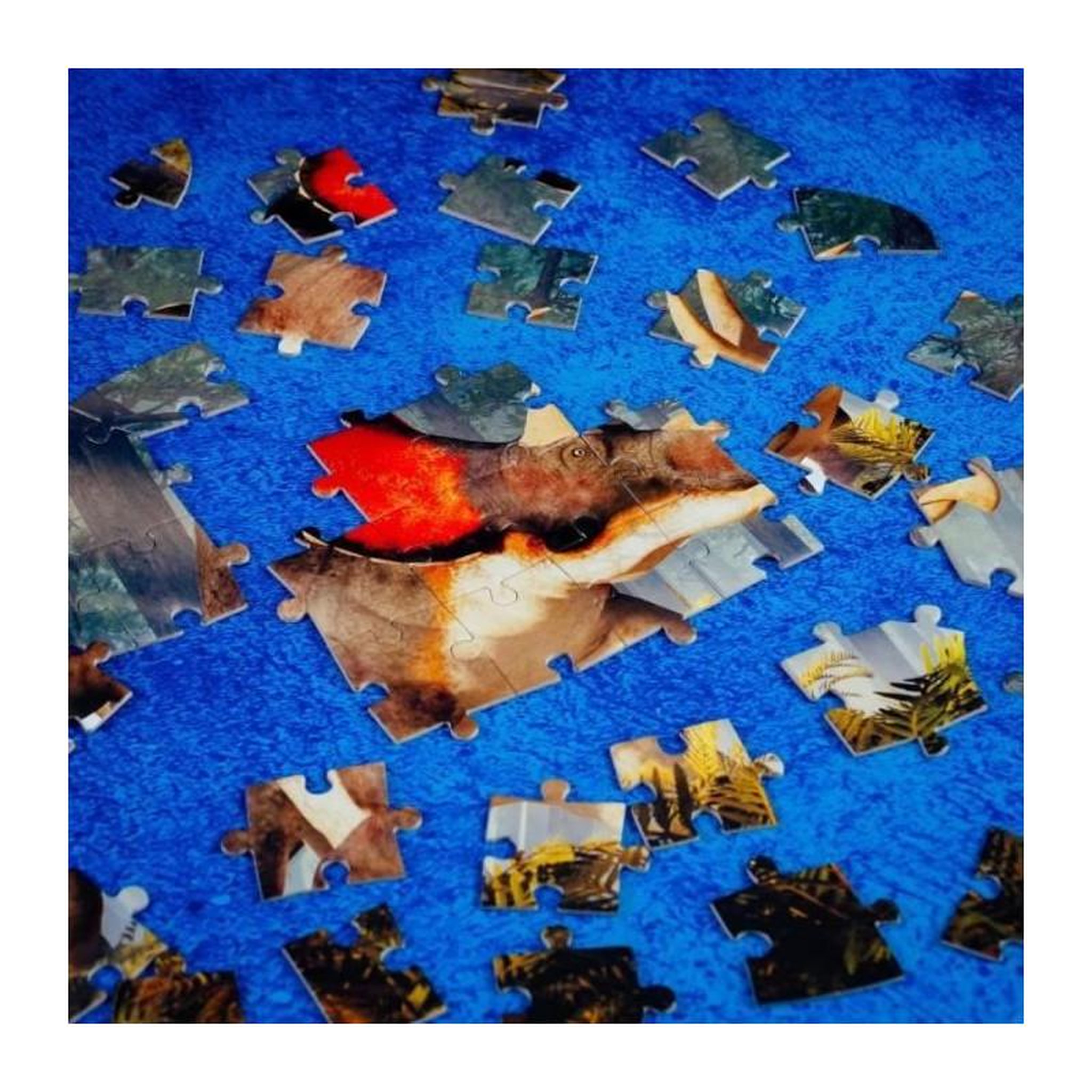 Voir la diapositive 4 : LISCIANI GIOCHI Lisciani giochi- I`m a Genius Dino Stem Triceratops, 92420, Non Applicable - 8008324092420
