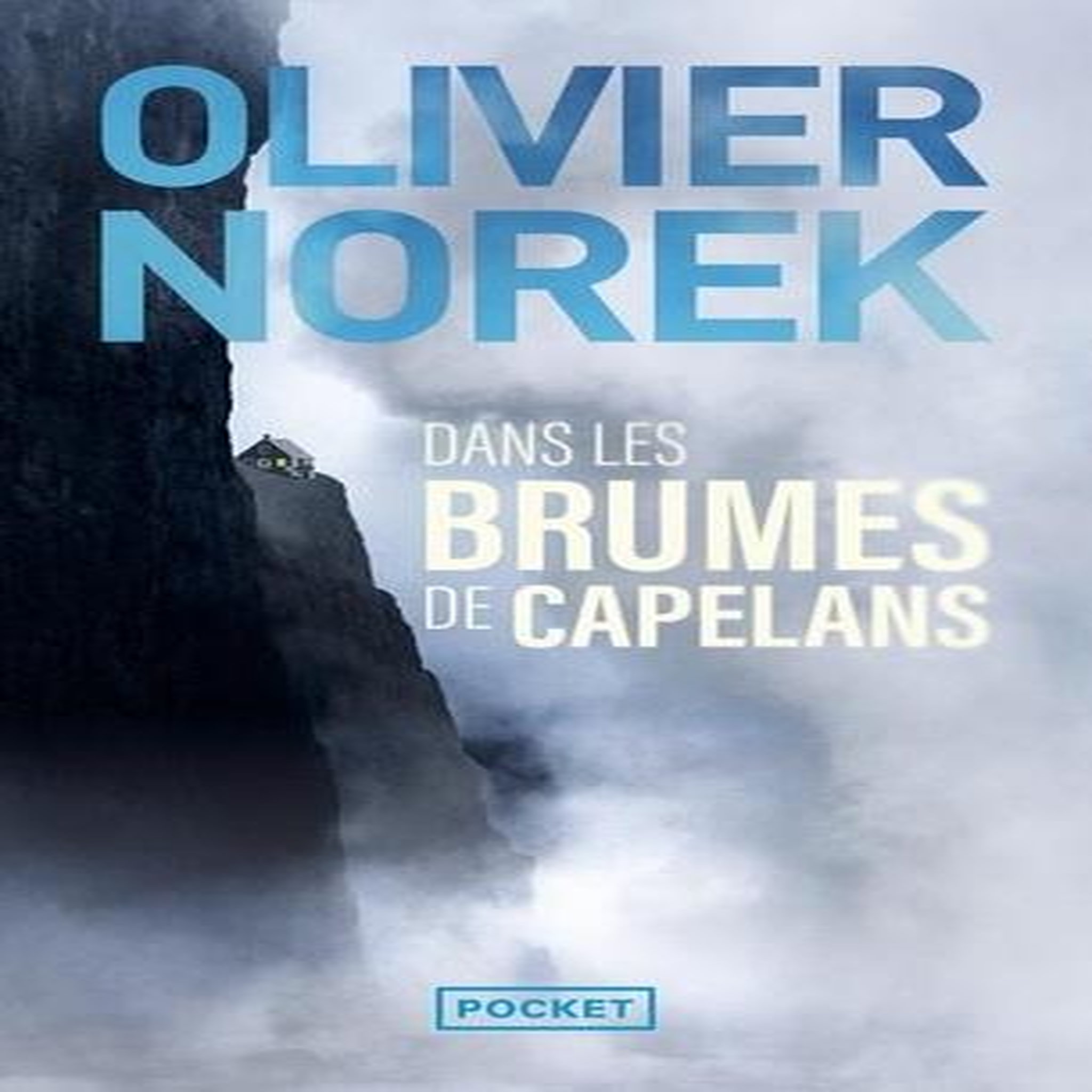 DANS LES BRUMES DE CAPELANS, Norek Olivier