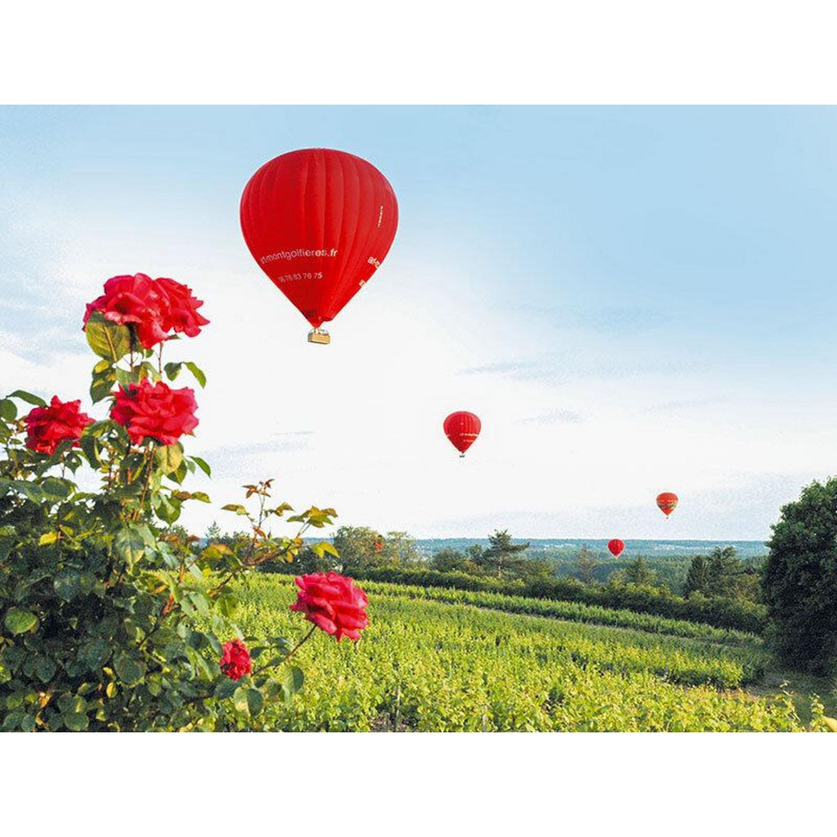 Smartbox Vol en montgolfière au-dessus du château de Chaumont-sur-Loire - Coffret Cadeau Sport & Aventure