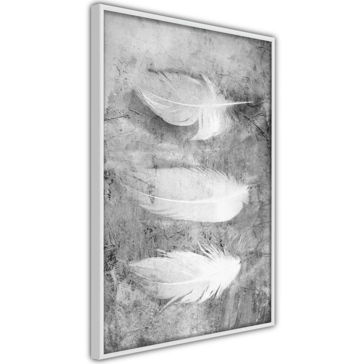 Paris Prix Affiche Murale Encadrée  Delicate Feathers