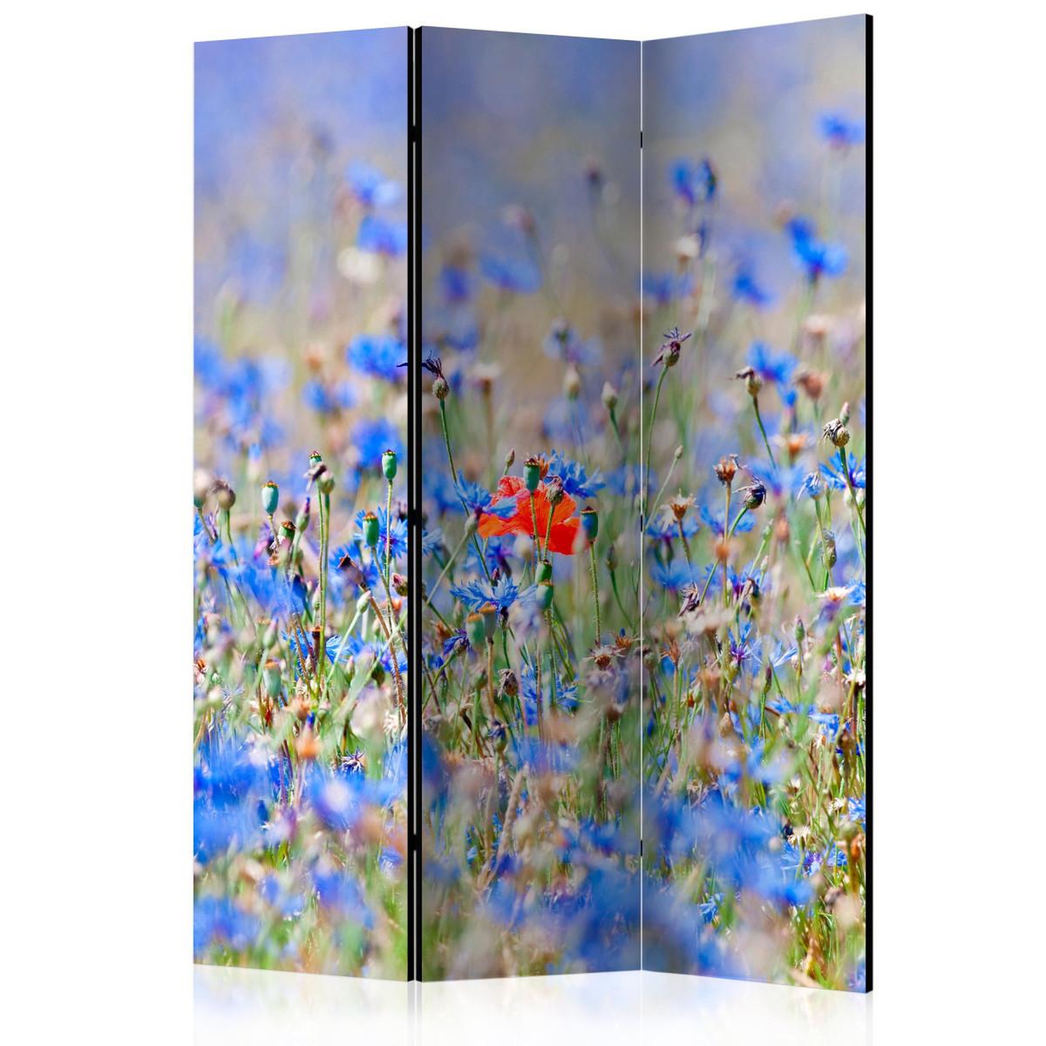 Paris Prix Paravent 3 volets  a sky colored meadow cornflowers  135x172cm