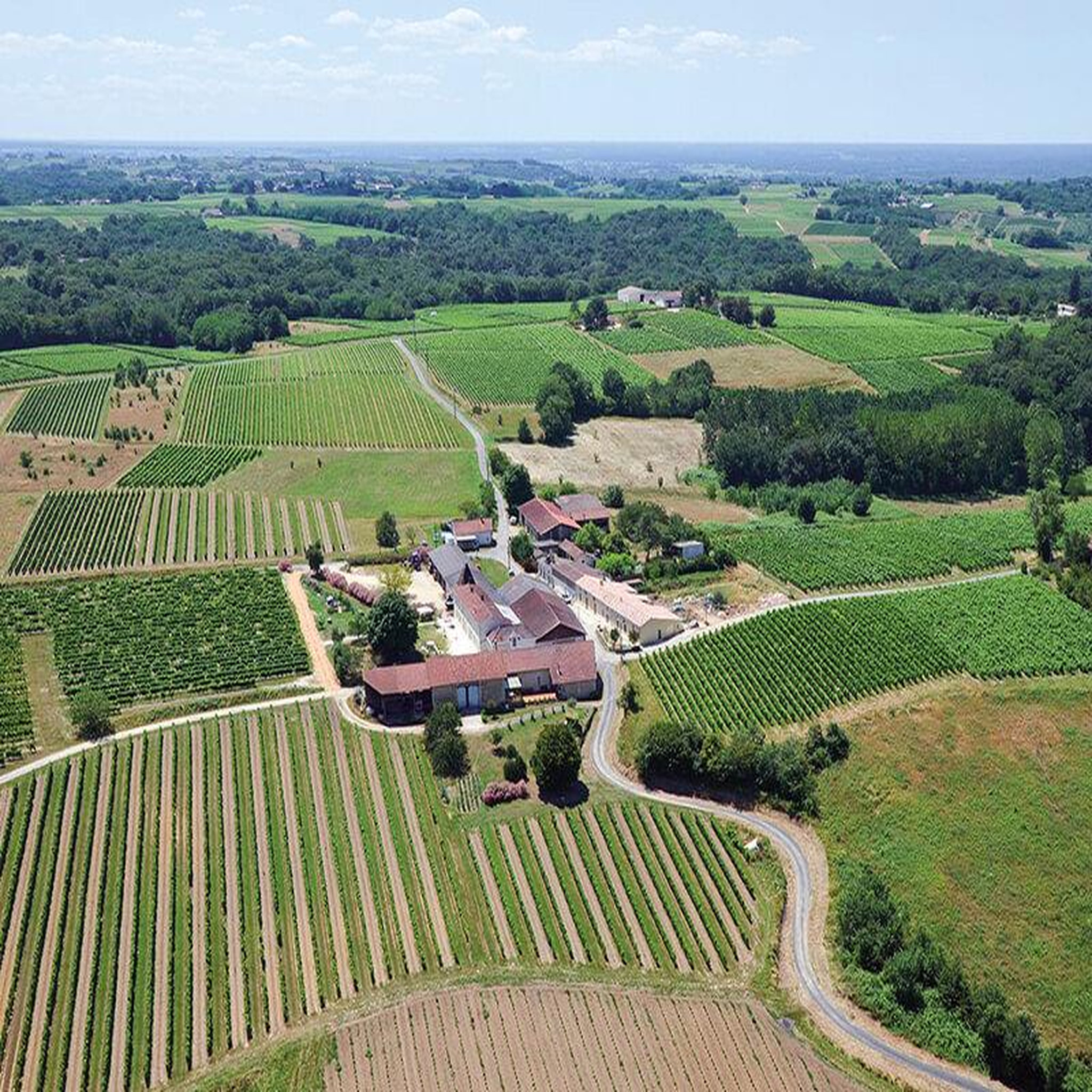Voir la diapositive 4 : Smartbox Atelier initiation et dégustation vin biologique dans un domaine viticole - coffret cadeau gastronomie