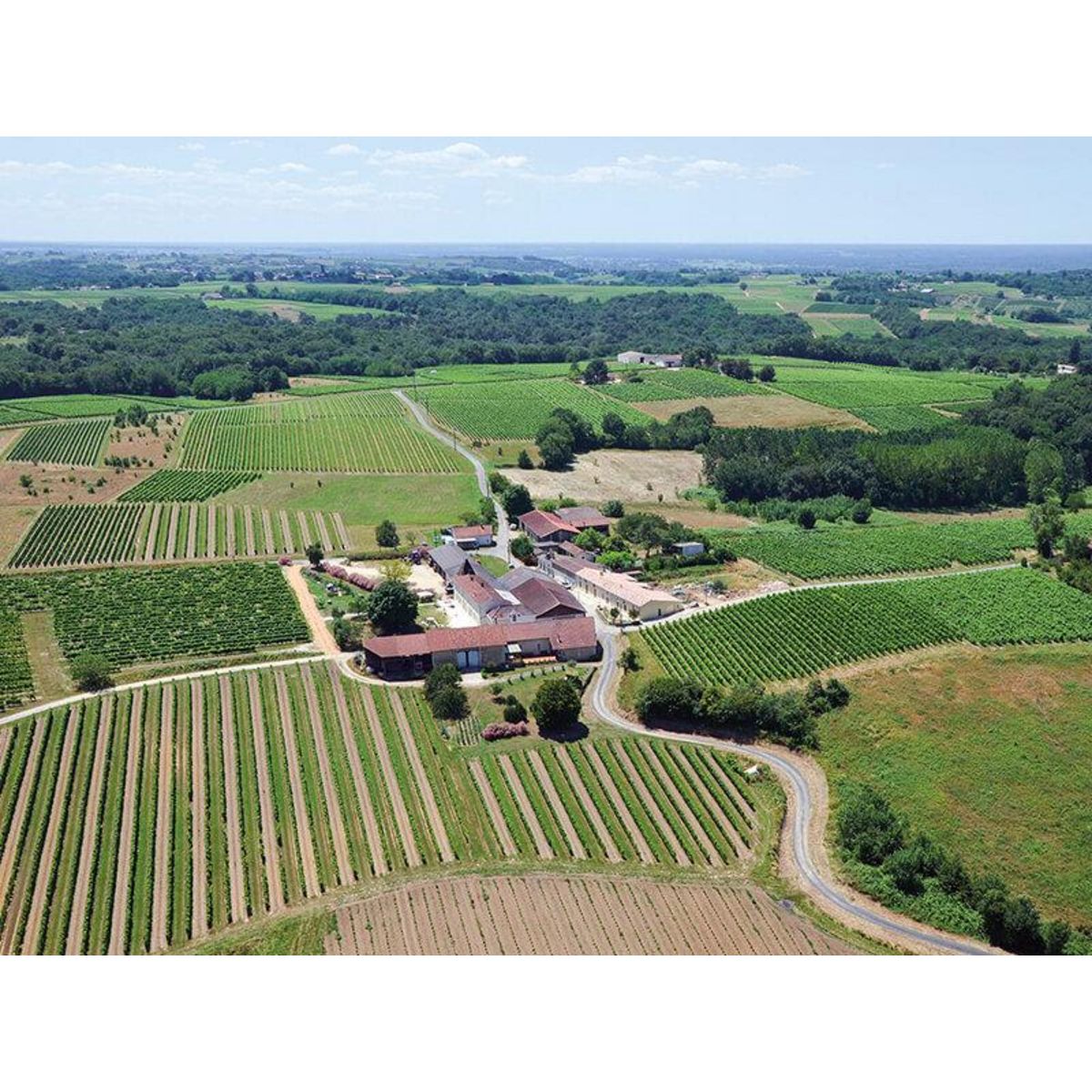 Smartbox Atelier Initiation et Dégustation Vin Biologique dans un domaine viticole - Coffret Cadeau Gastronomie