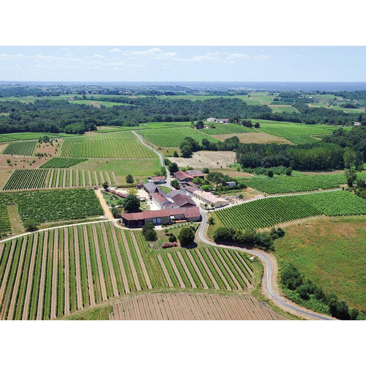 Smartbox Atelier Initiation et Dégustation Vin Biologique dans un domaine viticole - Coffret Cadeau Gastronomie