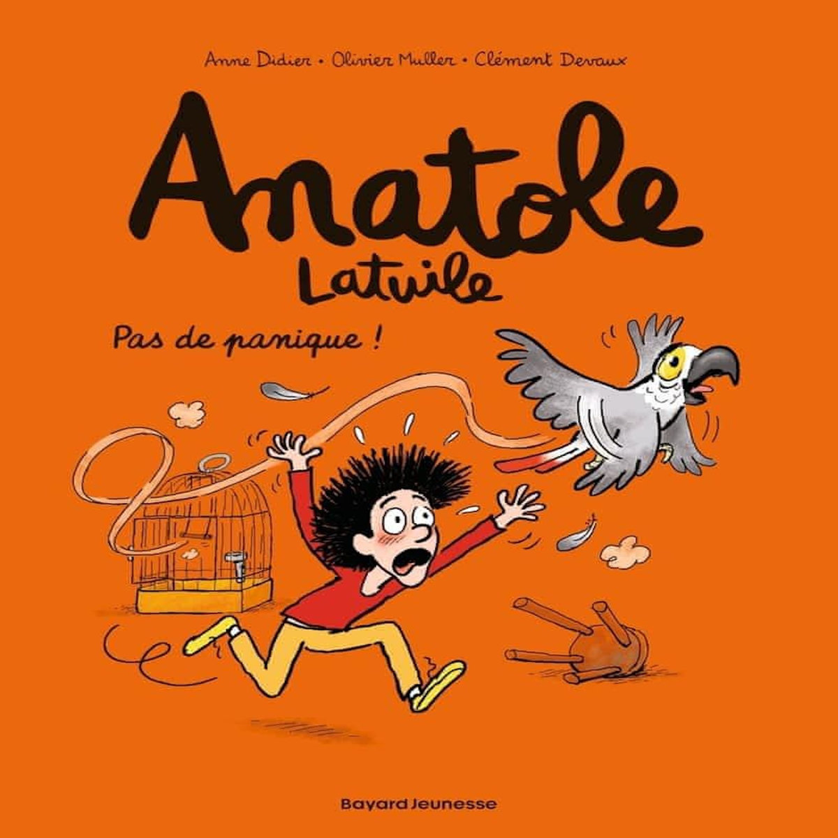 ANATOLE LATUILE TOME 6 : PAS DE PANIQUE !, Didier Anne