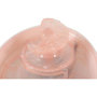 Voir la diapositive 4 : Zolux Fontaine a eau - ZOLUX - Calypso pour chat et chien - 3 L - Avec 2 filtres inclus - Rose