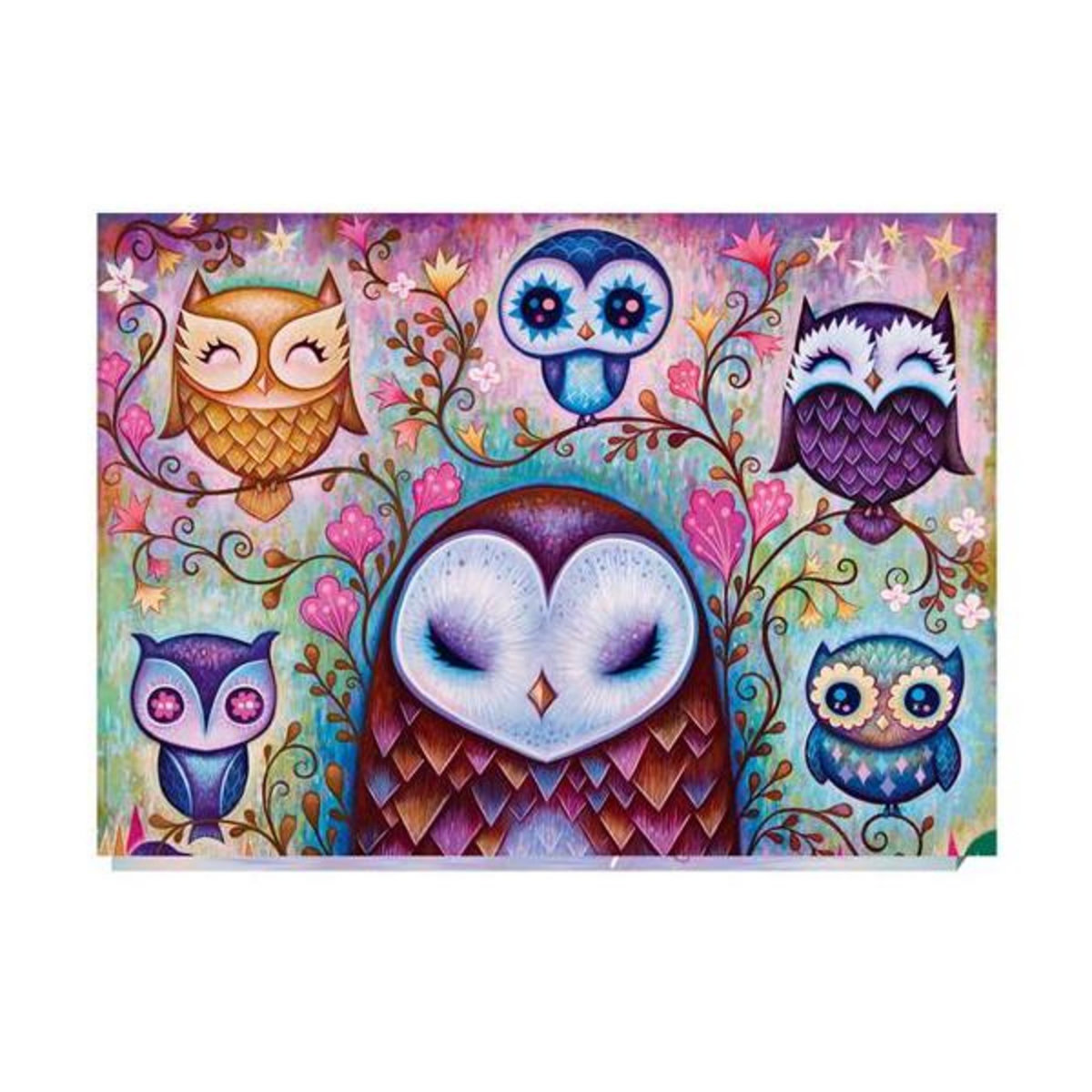 Heye Puzzle Heye Dreaming Great Big Owl 1000 pièces