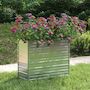 Voir la diapositive 1 : VIDAXL Lit sureleve de jardin 100x40x77 cm Acier galvanise Argente