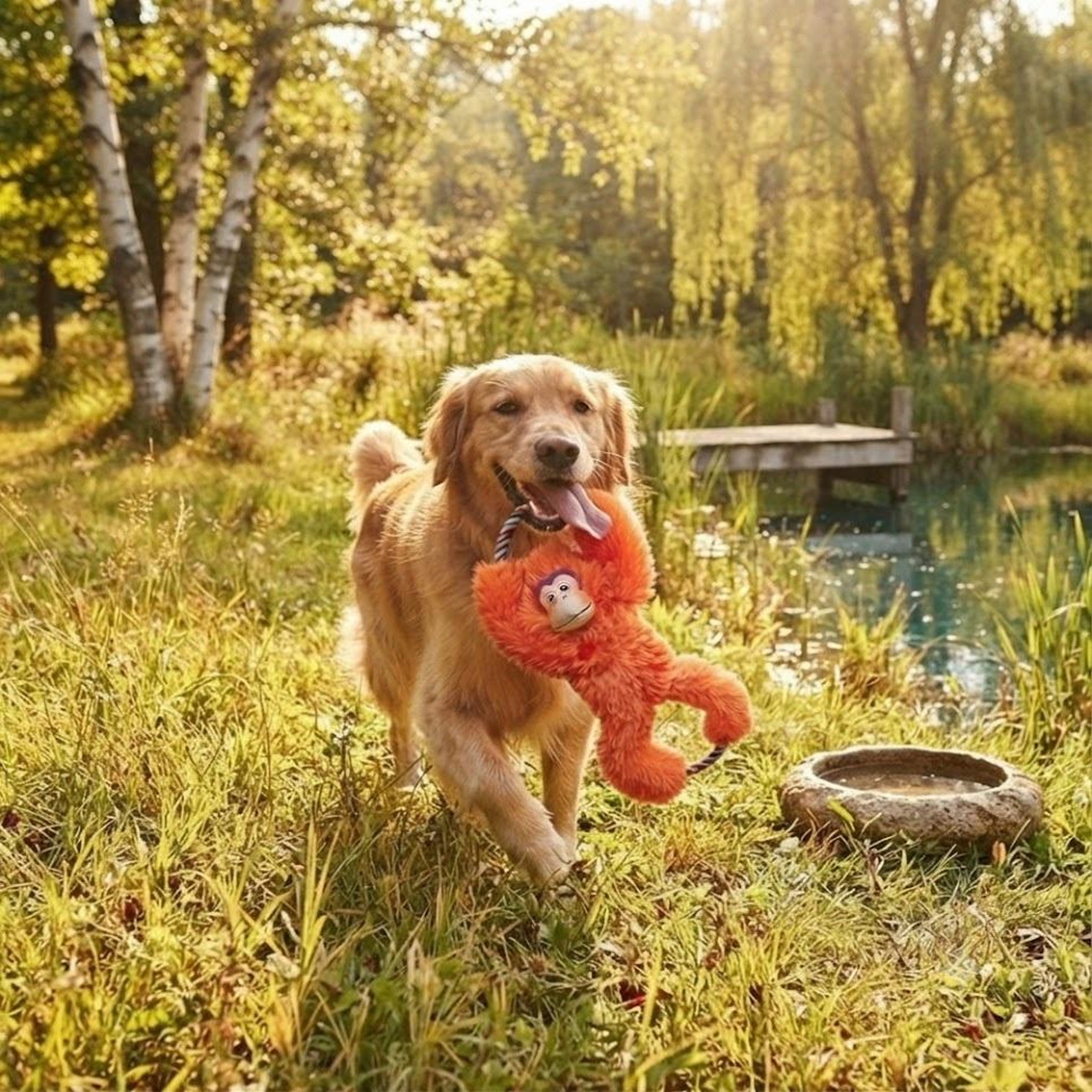 Voir la diapositive 4 : Eden Jeu pour chien tuggz singe orange