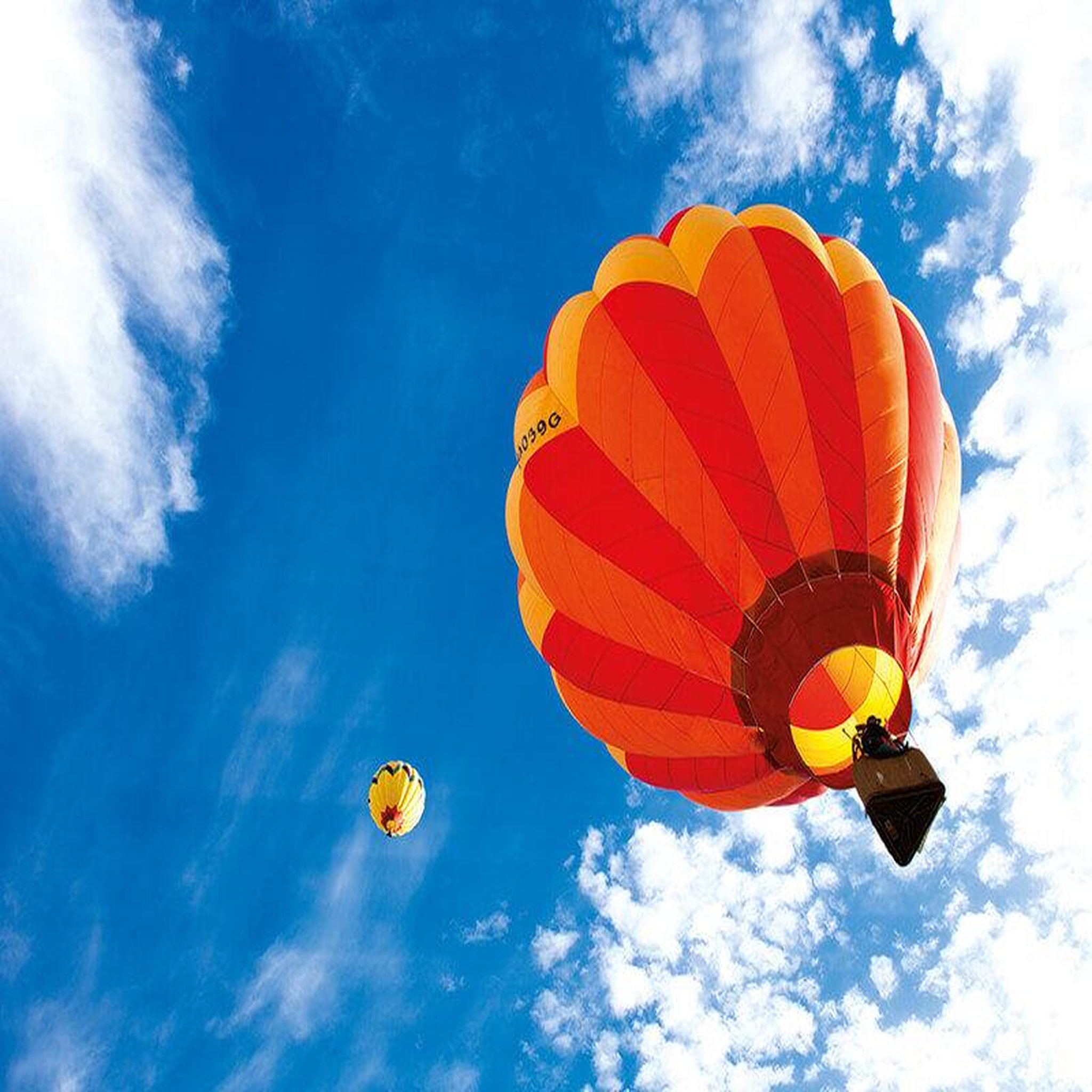 Voir la diapositive 2 : Smartbox Vol en montgolfière en semaine au-dessus des vignobles français - coffret cadeau sport & aventure