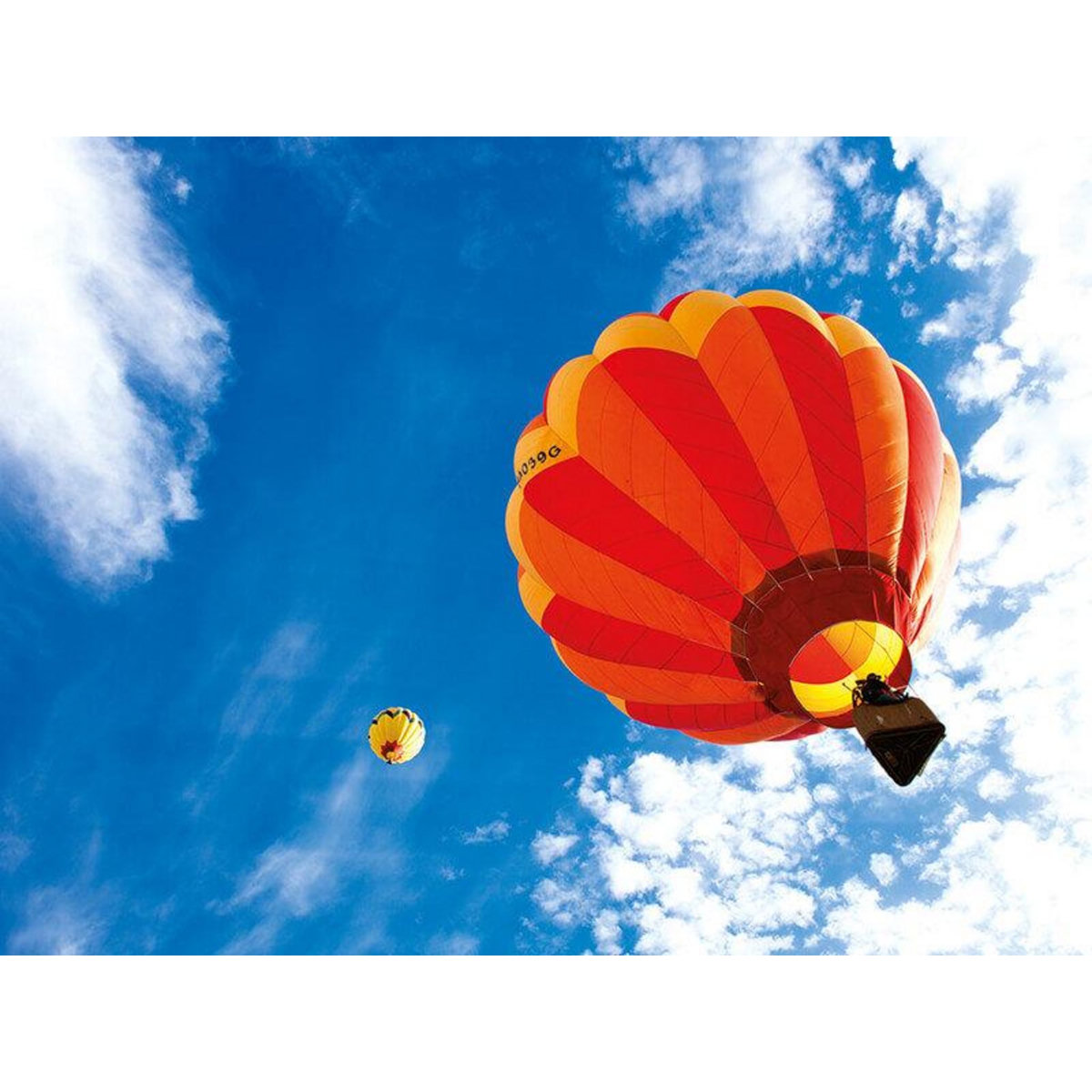 Smartbox Vol en montgolfière en semaine au-dessus des vignobles français - Coffret Cadeau Sport & Aventure